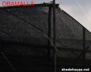 Shade House