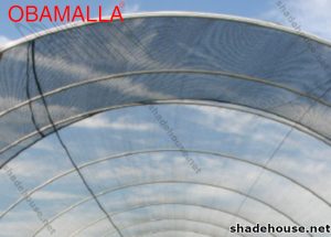 High tunnel with shade net
