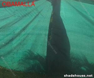 Green shade cloth