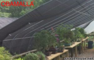 Shade nursery