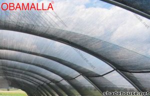 Shade net