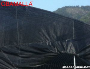 Shade net for farm